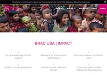 Tablet Screenshot of bracusa.org